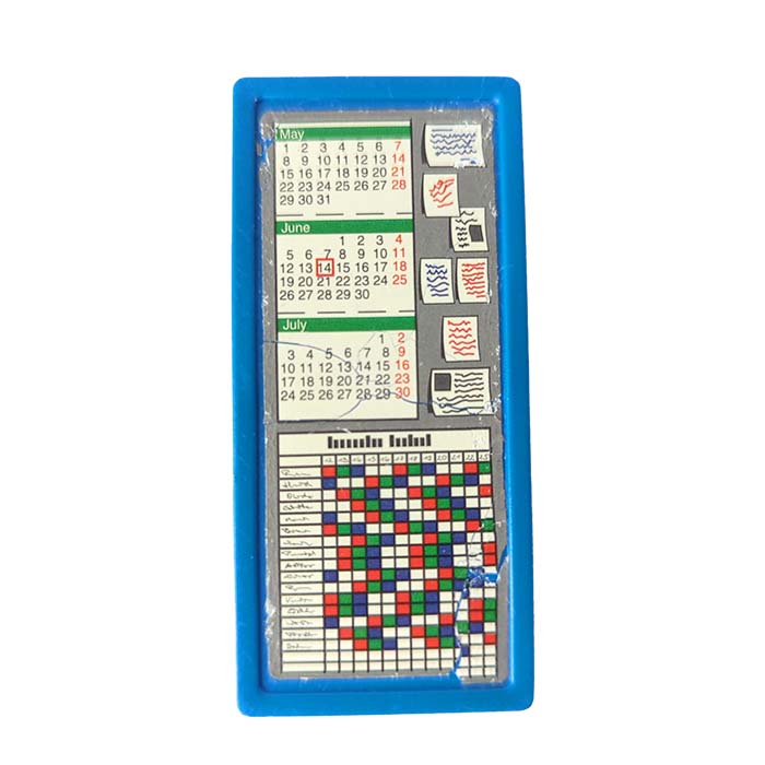 Playmobil Lesrooster