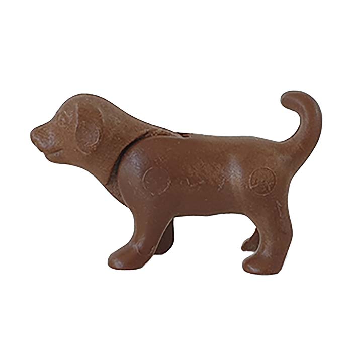 Playmobil Dier Bijzondere Huisdieren