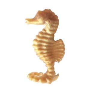 Playmobil Dier Zeepaardje Goud