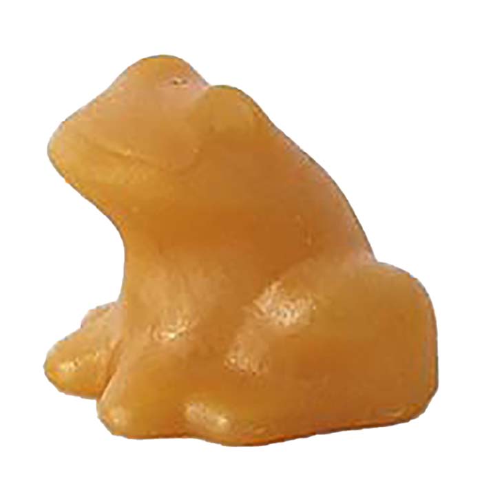 Playmobil Dier Kikker L. Goud