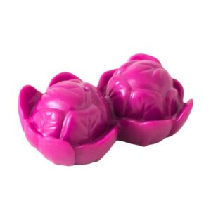 8210 Groente Playmobil Rode Kool