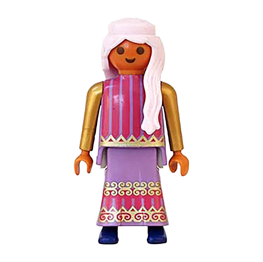 Playmobil Wijze Heks