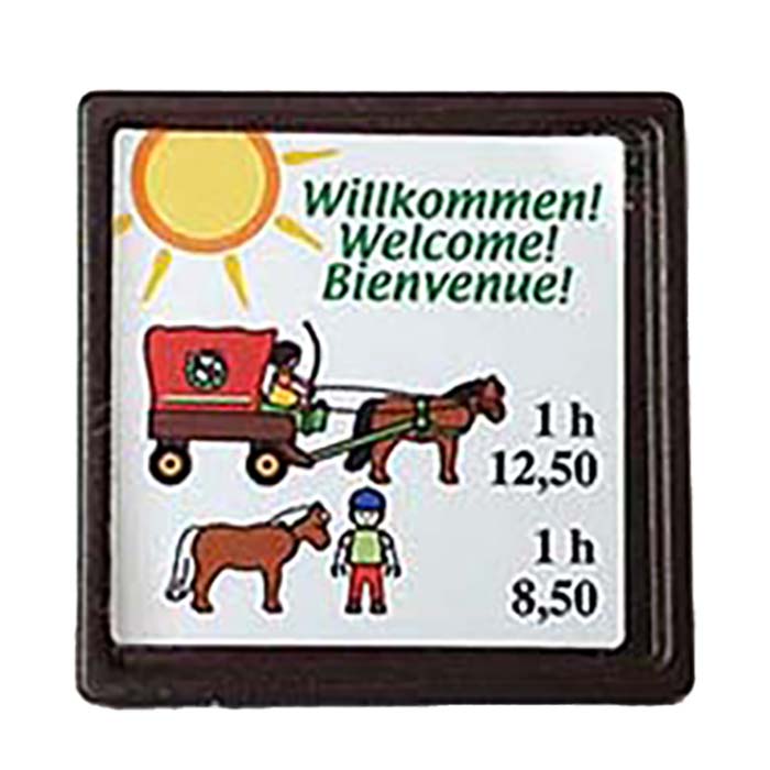 Manege Ponyranch 5222 – 09 bak
