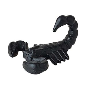 Levensgevaarlijke Schorpioen Zwart