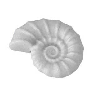 Playmobil Dier Zeeschelp Groen