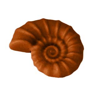 Playmobil Dier Zeeschelp Groen