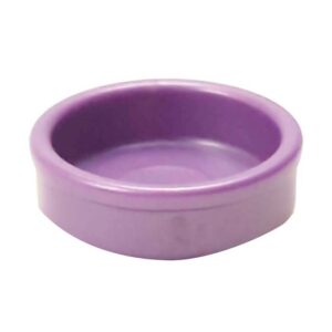 8630 Servies Schaal Paars