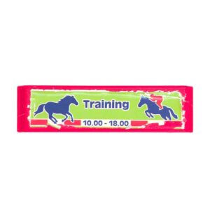 Playmobil 05_58022_15