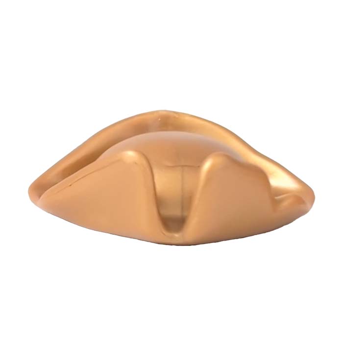 Playmobil Gouden Piratenhoed