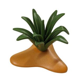 9400 Catus Aloe Vera in zand