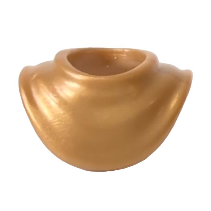 Playmobil Gouden Kraagstuk Playmobil