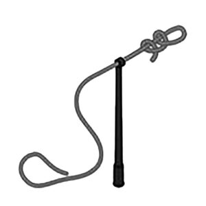 Zweep voor Paard