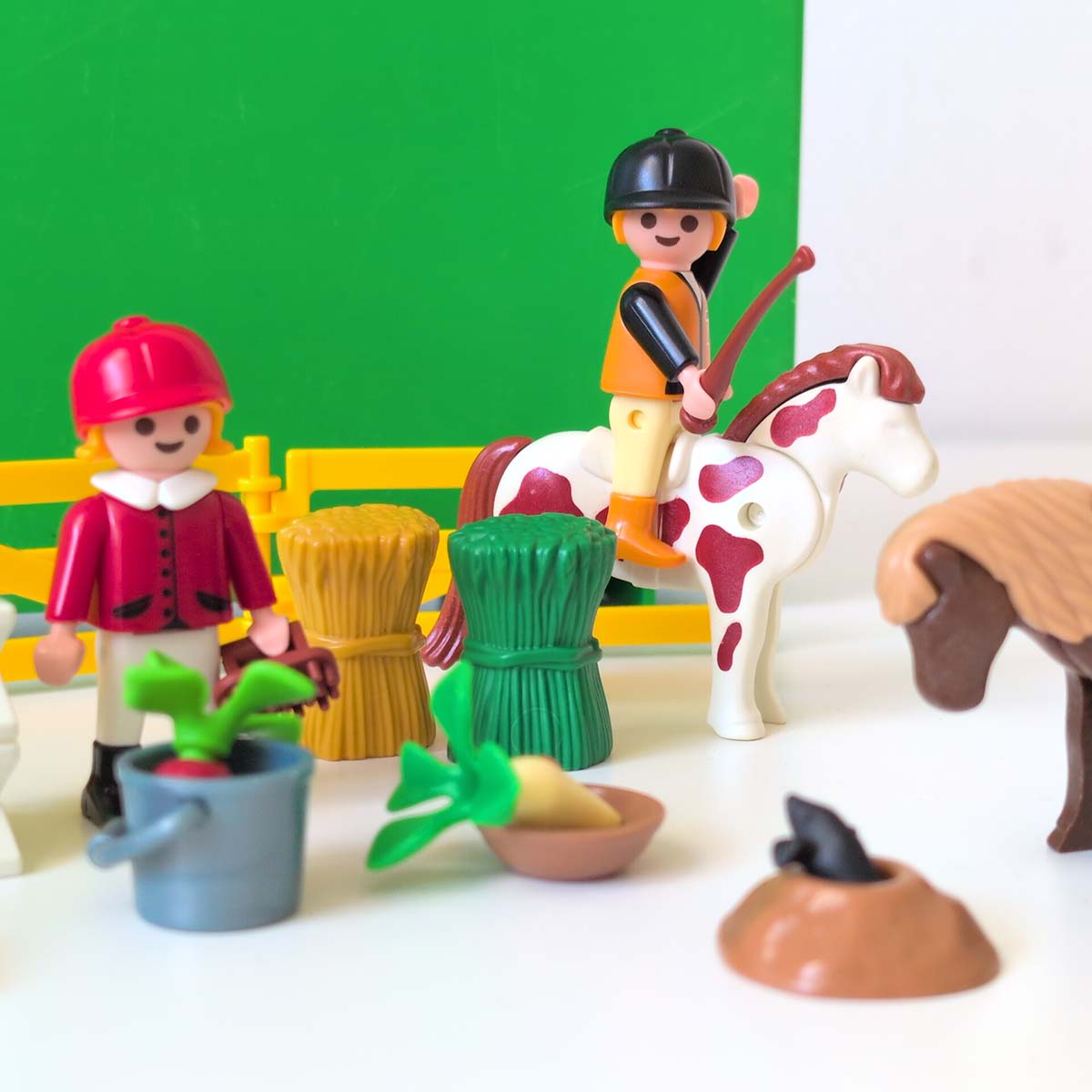 Playmobil 5893 Manege Basisset - Afbeelding 2