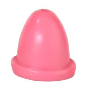 Playmobil Roze Clownsmuts