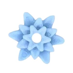 Tulpen Passieflora Lelie Bloemen – Lelieblad L. Blauw