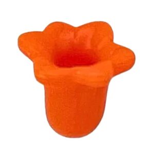 Tulpen Passieflora Lelie Bloemen – Tulp Oranje